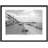 Hastings, Promenade C1955 by Francis Frith - Single Picture Frame Print-51297503