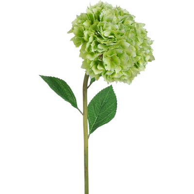 Hydrangea Arrangement
