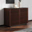 Corridor Accent Cabinet-1657187466