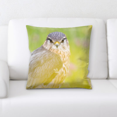 Coussin oiseau