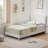 Queen Upholstered Kids Bed Frame with Scallop Headboard, Velvet Platform, Wood Slats, White-388932310-389719523