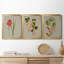 «Botanical Array IV», ensemble de 3 impressions sur toile encadrées-179205349-179205348