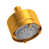 Satin Gold is out of stock