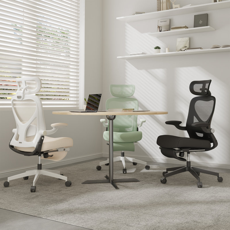 Foldex Ergonomic Office Chair, Folding Office Chair for Small Spaces with Lumbar Support, Black, Black