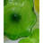 Murana 9 - Light Chandelier-95300258-95300261-131157767