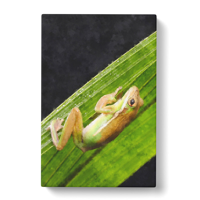 Frog Vol.1 - Wrapped Canvas, 76cm H x 50cm W x 3cm D