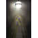 Luminaire suspendu sphère 1 lumière DEL 1 lumière