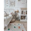 78'' L Foam Playmat