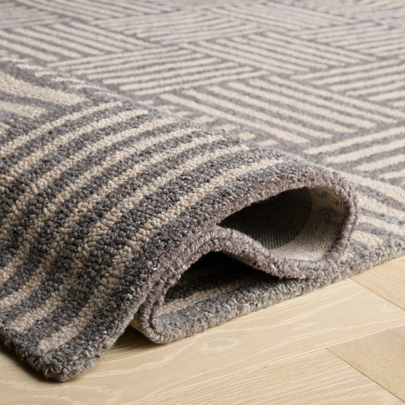Tapis ivoire / gris foncé touffeté à la main Stockton, Rectangle 4 pi x 6 pi