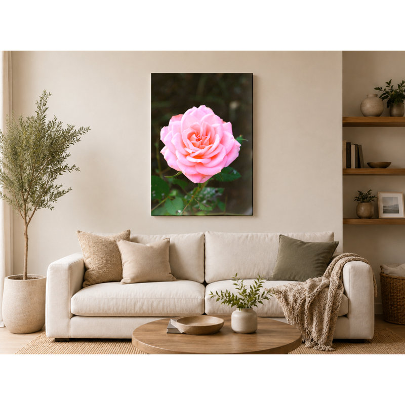 Rose rose en fleur - Portrait, art mural sur toile, 11" W x 14" H