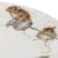 Classic Wrendale Designs  - Assorted Coupe Side Plates