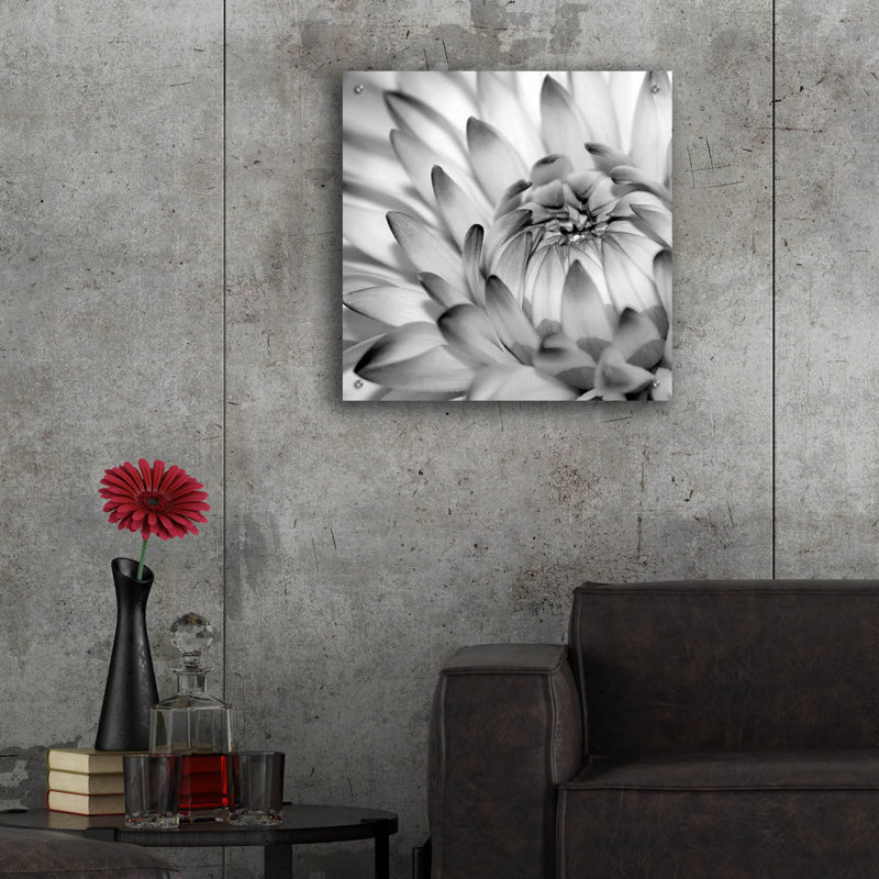«Lark Manor ™« Fibonacci 2 »par Photoinc Studio, art mural en verre acrylique, H 24 po x l 24 po x P 0,2 po