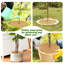 4 anneaux de paillis en fibre de noix de coco 4 pièces, tapis de protection en coco naturel de 30 cm pour les plantes d'intérieur / extérieur et l'aménagement paysager