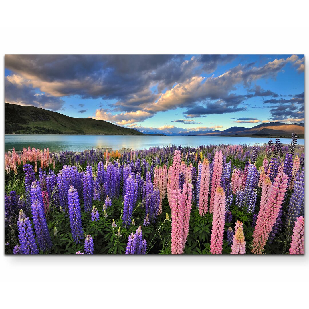 Leinwandbild Lupinen am Ufer des Lake Tekapo – Neuseeland