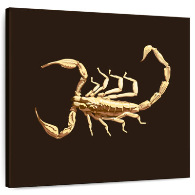 Crowle Veninous Scorpion