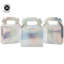 Paper Gift Bags