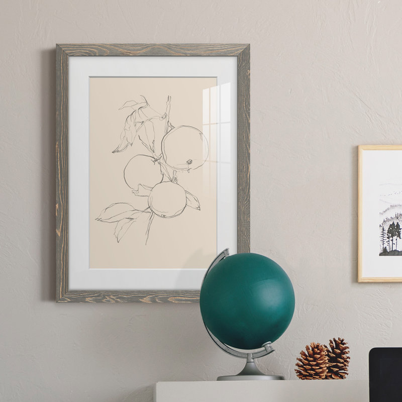 Fruit Contour Study I Premium encadré mat - prêt à être suspendu, Encadré gris, H 38 po x l 28 po x P 1 po