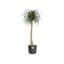 B.For Pot Planter-37904858-70004570
