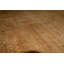 Oriental Area Rug