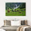 Alvord, Suisse, Highland Cows-107854205