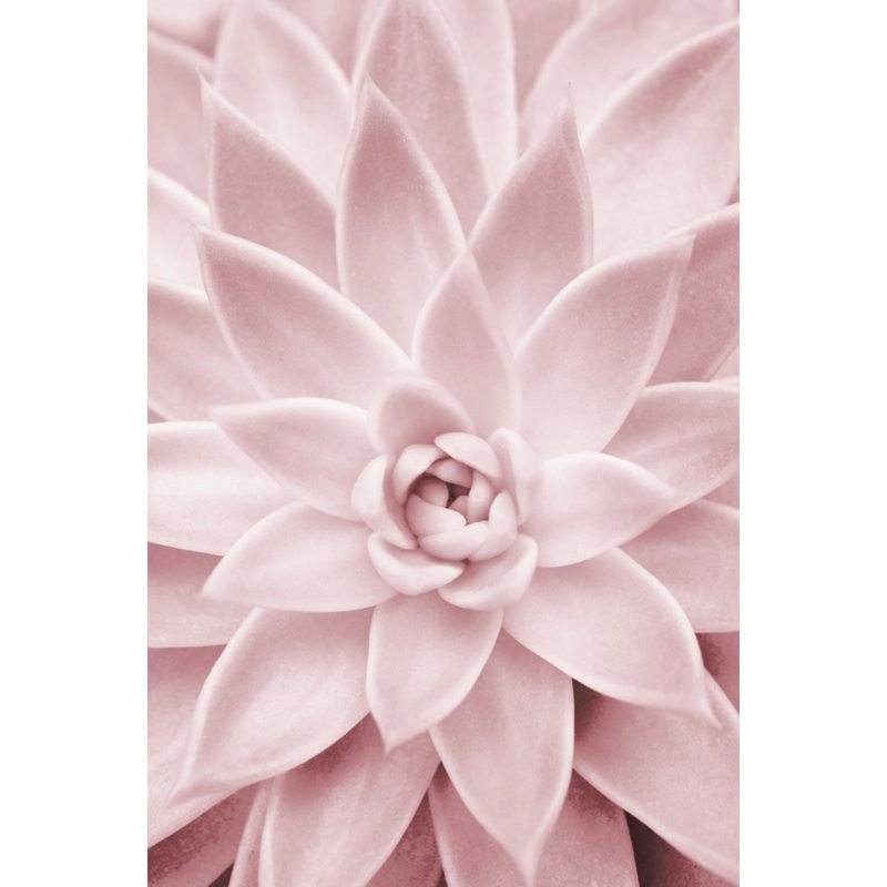 Wrapped Canvas Print, 76.2 cm H x 50.8 cm W
