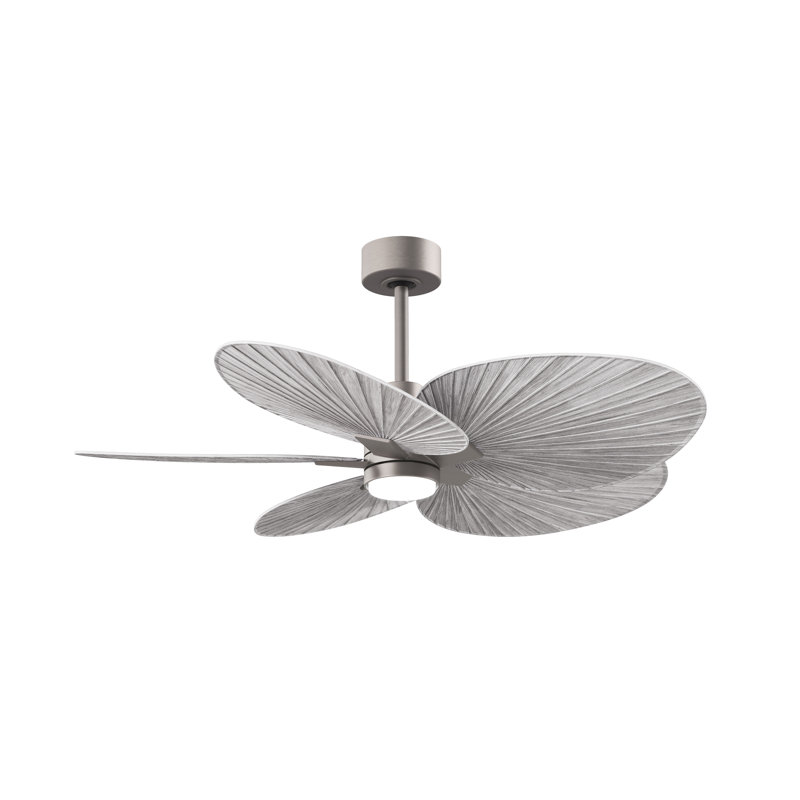Alessandra - Ventilateur de plafond à cinq pales - DEL intégrée, Nickel brossé, Ton bois de grange
