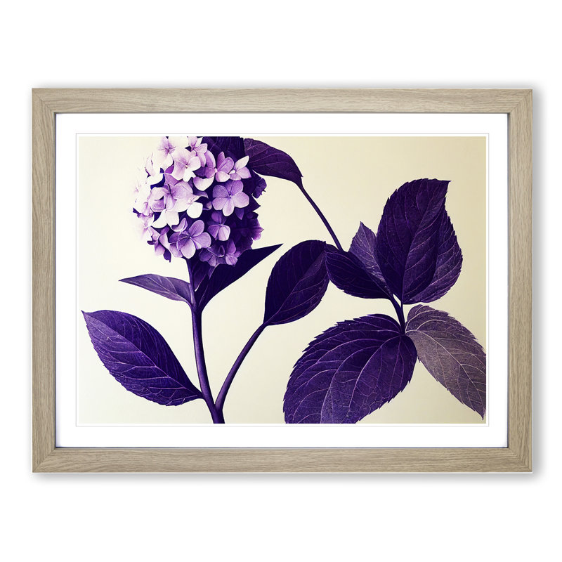 Classic Hydrangea Flowers - Single Picture Frame Print, 25cm H x 34cm W x 2cm D, Oak