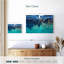 Gillard Solta Crystal Waters-107708898