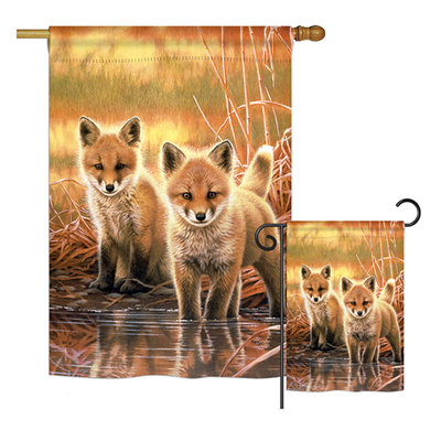 Ensemble de drapeaux en polyester 40 x 28 po Lietz