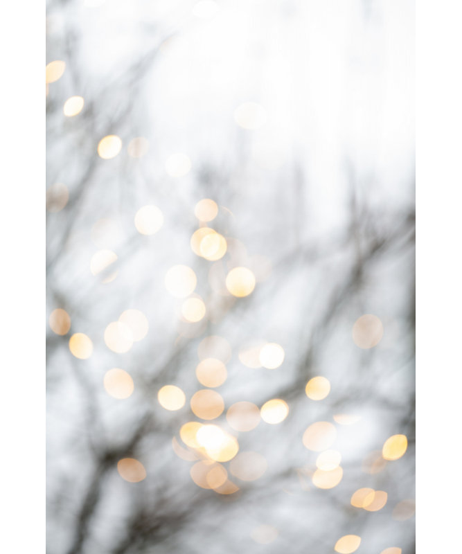 Wrapped Canvas Print, 76.2 cm H x 50.8 cm W