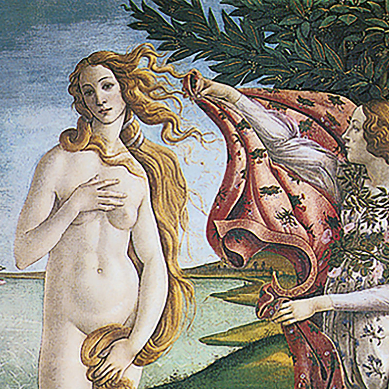 La naissance de Vénus, 1485 par Sandro Botticelli, reproduction d'art encadrée, H 34,75 po x l 49,25 po x P 1,875 po