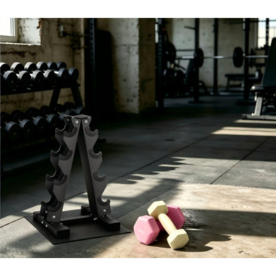 A-Frame Dumbbell Weight Rack, Vertical Storage Rack