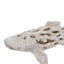Clouser Coral Look Shark 19,5 po x 7,5 po x 7,5 po blanc
