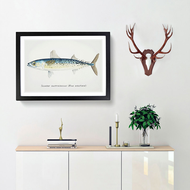 An Illustration of a Blue Mackerel 1 Piece Single Picture Frame Painting, 24cm H x 33cm W x 2cm D, Black Framed