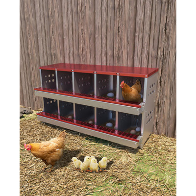 6.84m² Chicken Coop