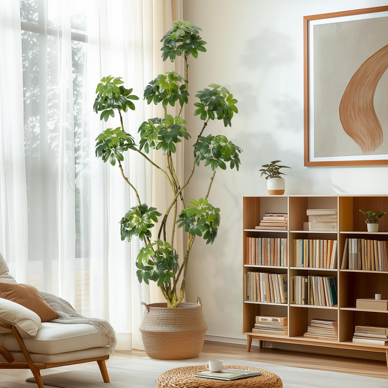 Arbre artificiel réaliste Schefflera, 7 pieds