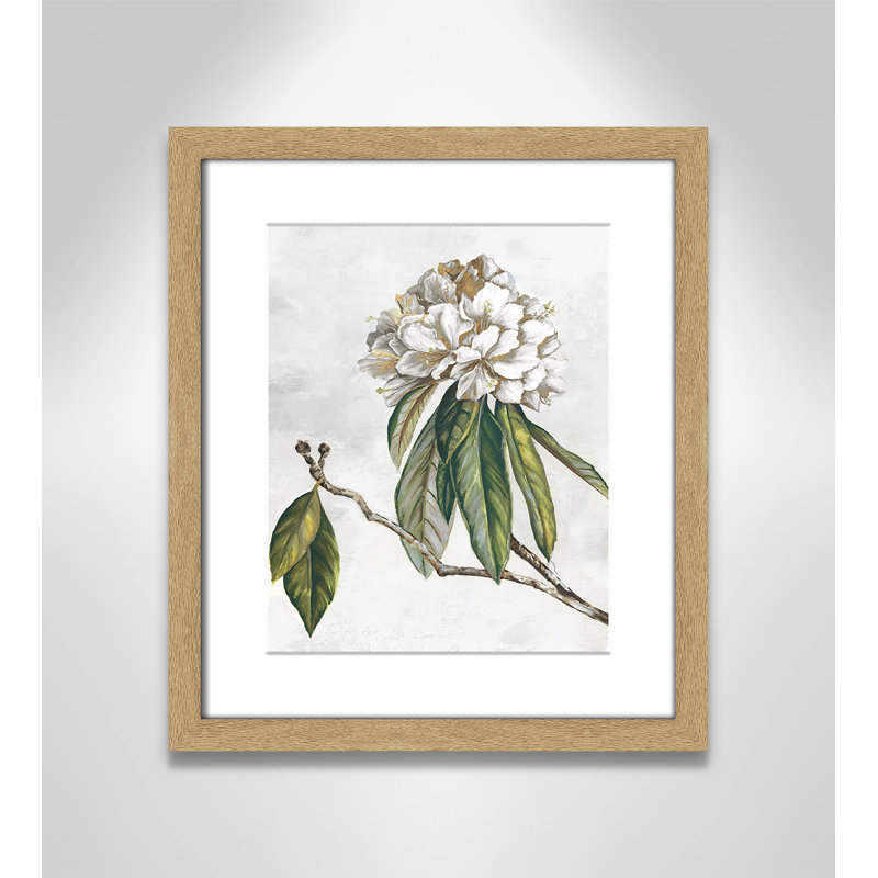 «Pearly Beauty II» par Eva Watts, Imprimé mat, L 13 po x H 15 po, Naturel