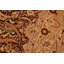 Tapis oriental rectangulaire en laine fabriqué à la main 6 pi 2 po x 9 pi 3 po Pancoast