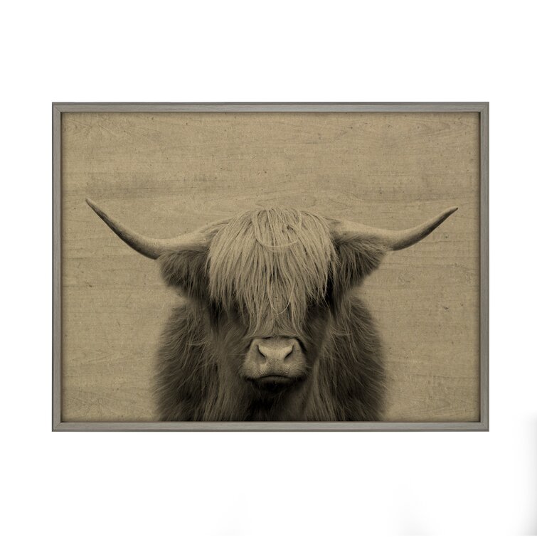 Millwood Pines Blake Hey Dude Highland Cow Framed Printed Wood Wall Art By  The Creative Bunch Studio, 24X32 Graywash, Chic Rustic Art For Wall  Floater Frame Print on Canvas  Reviews