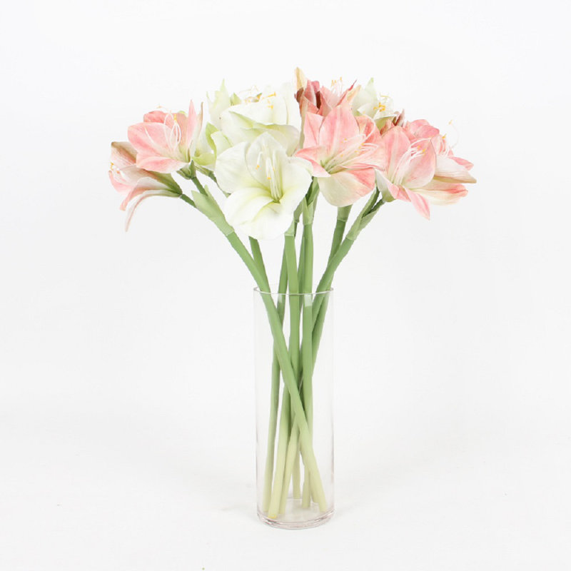Tige orchidée clivia, 5 tiges, Blanc