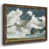 Noyer