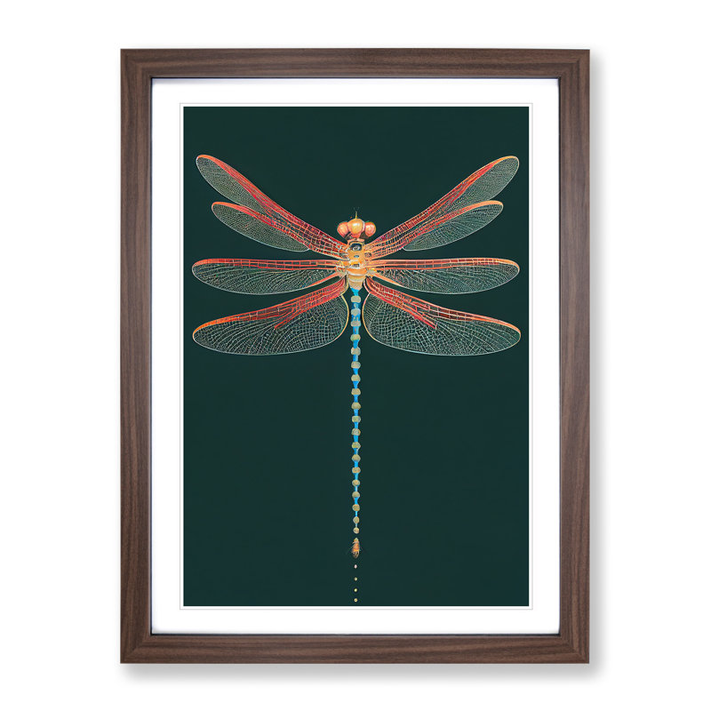 Gentle Dragonfly - Single Picture Frame Print, Walnut , 64cm H x 46cm W x 2cm D