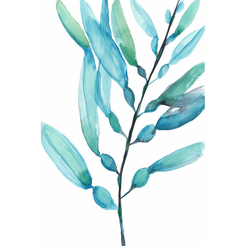 Watercolour Kelp I by Jennifer Goldberger - Wrapped Canvas Art Prints, 30cm H x 20cm W
