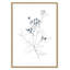 Indigo Sketch I by Carol Robinson-86575615-86575618