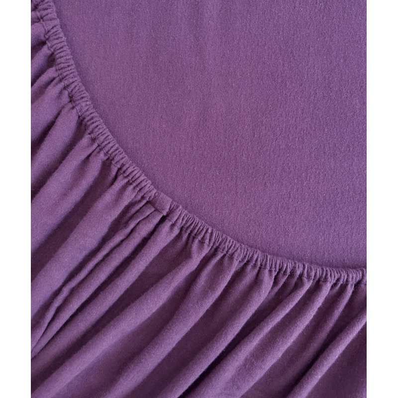 Elegant Comfort Luxuriously Soft 4-Piece Velvet Plush Flannel Sheet Set - Premium Quality -Cozy Warm, Anti-Static, Non Pilling Fuzzy Velvet Flannel Fleece Deep Pocket Sheet Set