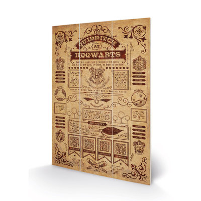 Quidditch At Hogwarts by Harry Potter - No Frame Print on Wood