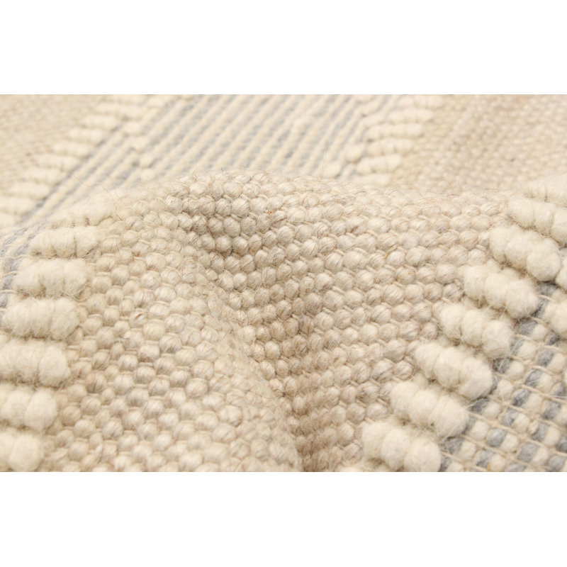 Denishia Performance Hand Braided Wool Rug