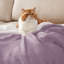 Couvre-lit Sherpa Bedsure GentleSoft ™ - couverture épaisse pour lit toutes saisons - cadeau idéal pour les étudiants-105504623-105504651