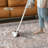 Oriental Rug-596683918-576344217