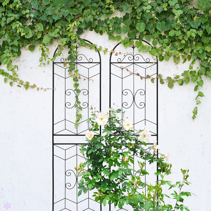 Ensemble de 2 treillis de jardin en métal 86,7 "x 19,7" antirouille pour plantes grimpantes